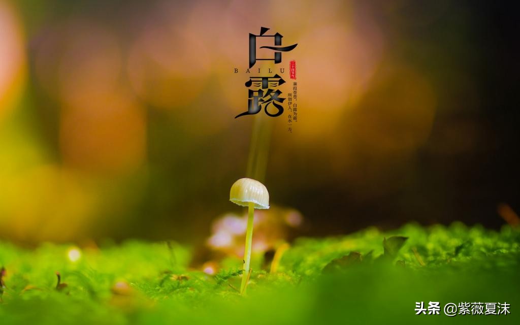 白露时节邂逅良缘，哪些星座将迎来桃花运巅峰？