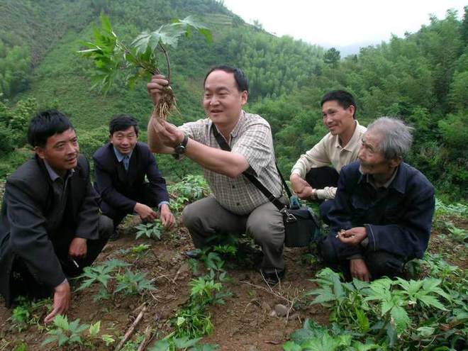 香港正版资料全年免费公开,习近平亲自部署推动的八八战略，到底有多牛？  第8张