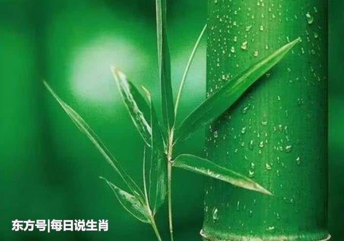 8 月 17 日后运势如虹的生肖，你知道有哪些吗？