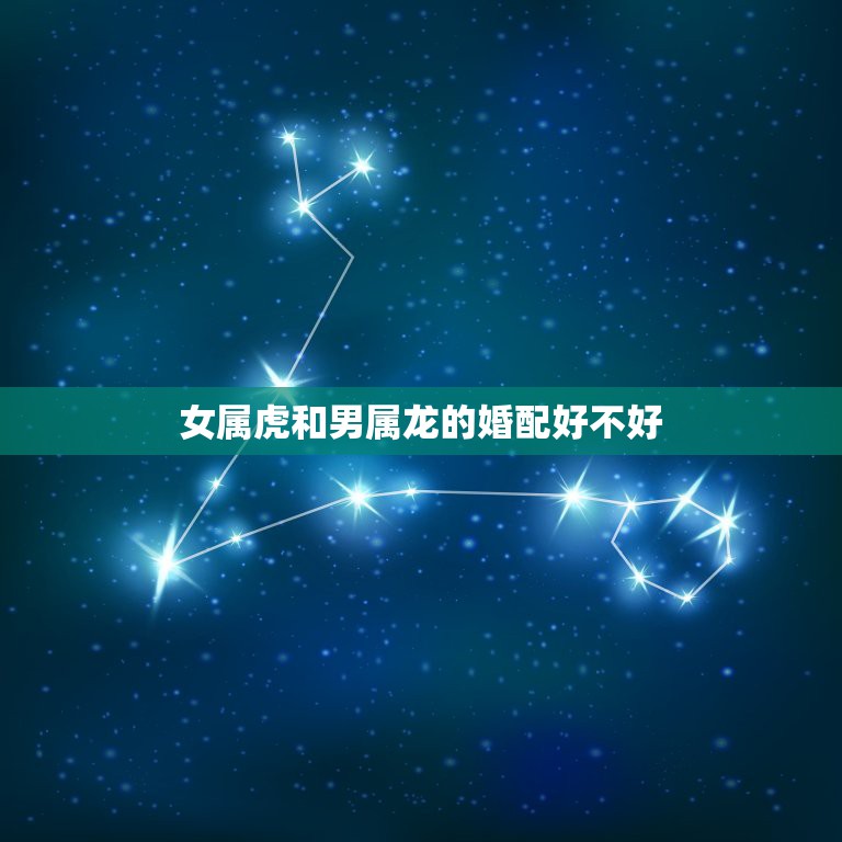 属龙人的性格特点：独立自主、充满激情与聪明才智