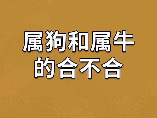 生肖属牛的读者朋友们，你们为何长吁短叹？