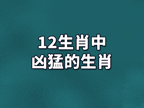 生肖运势：鼠成聚会焦点，牛乐于助人，虎宜低调稳重