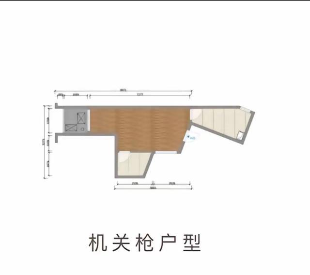 管家婆精准资料大全免费,奇葩户型似恐龙，却遭疯抢！售价 499 万，究竟有何魔力？