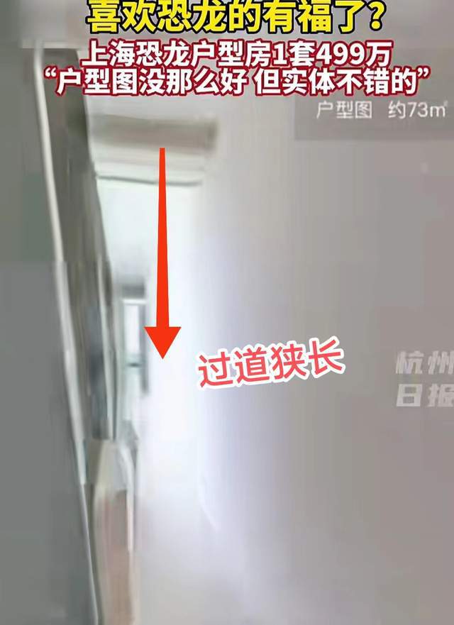 管家婆精准资料大全免费,奇葩户型似恐龙，却遭疯抢！售价 499 万，究竟有何魔力？  第7张