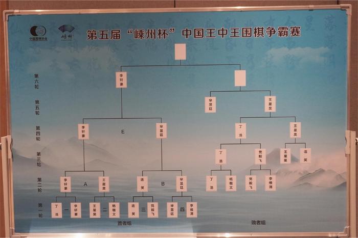 阐述最准一肖一码100%免费公开,王星昊速胜芈昱廷，与李轩豪争冠！围棋争霸赛一触即发  第2张